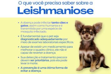 SECRETARIA MUNICIPAL DE SAÚDE INICIA AMANHÃ A COLETA DE SANGUE EM CÃES PARA DIAGNÓSTICO DE LEISHMANIOSE VISCERAL