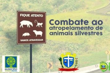 Meio ambiente faz alerta para combater o atropelamento de animais silvestres.