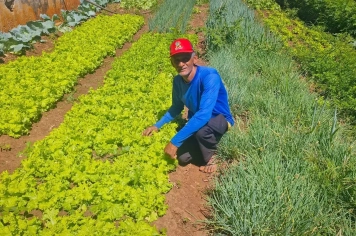 PREFEITURA DE SALMOURÃO DESTACA O TRABALHO SUSTENTÁVEL NA HORTA DA EMEFI STELA BOER MAIOLI