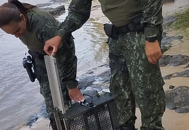 Polícia Ambiental realiza soltura de animais silvestres.