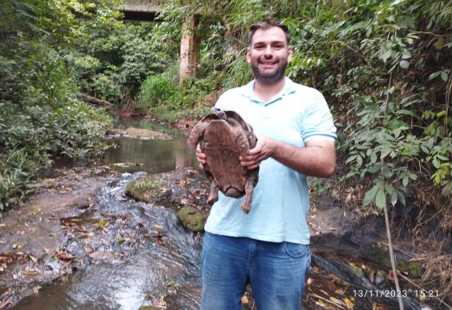 Jaboti ganha a liberdade nas matas do Córrego Barreira