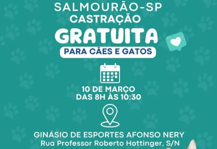  SALMOURÃO RECEBE CASTRAÇÃO GRATUITA PELO PROGRAMA PROPET