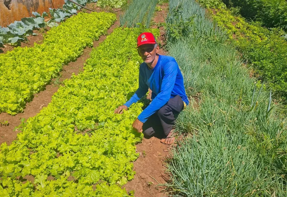 PREFEITURA DE SALMOURÃO DESTACA O TRABALHO SUSTENTÁVEL NA HORTA DA EMEFI STELA BOER MAIOLI
