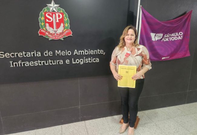 PREFEITA SÔNIA GABAU BUSCA RECURSOS EM SÃO PAULO PARA O DESENVOLVIMENTO DE SALMOURÃO